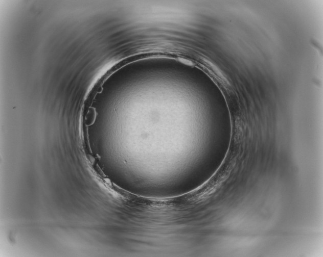 X0000094210788200710261210