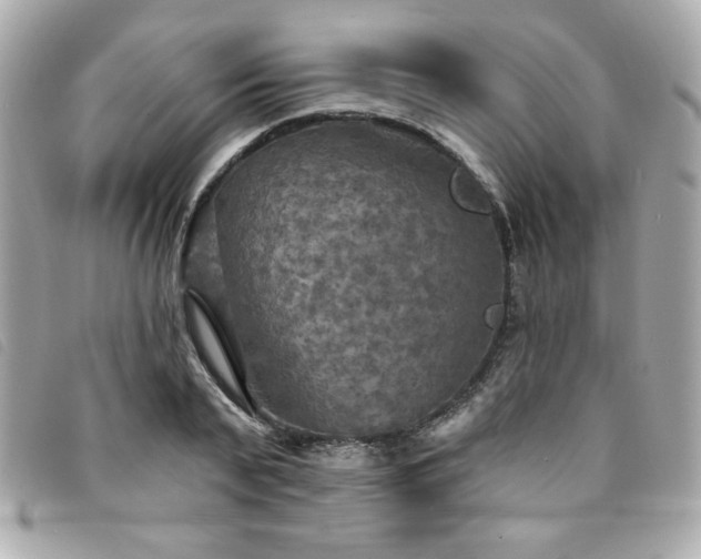 X0000094210791200710261209