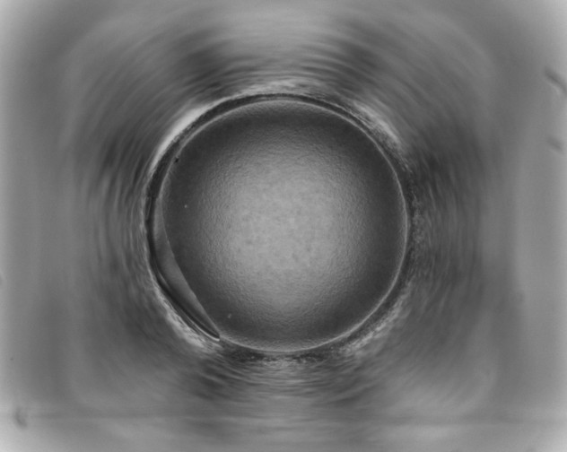X0000094210792200710261209