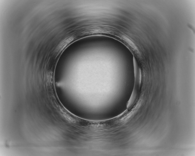 X0000094210793200710261209