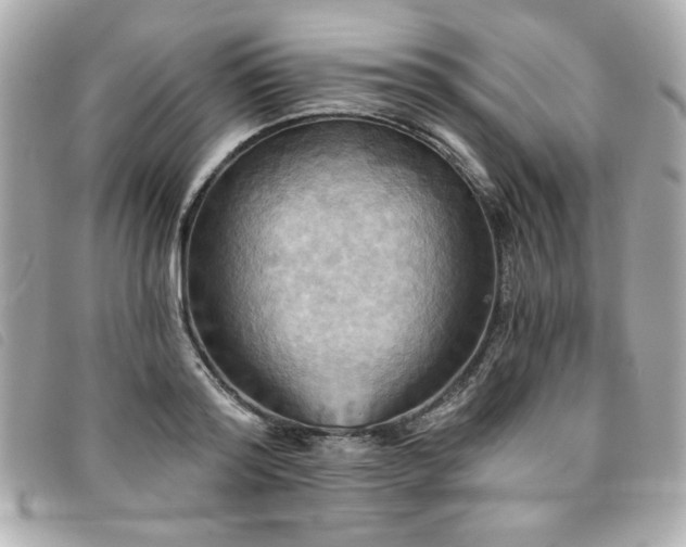 X0000094210796200710261209