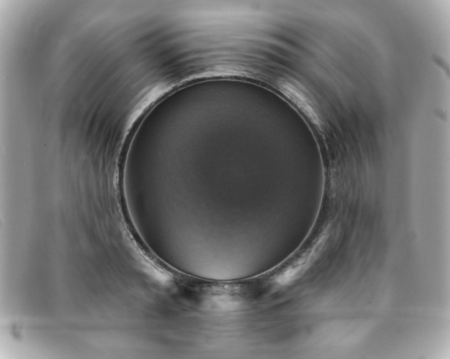 X0000094210797200710261209