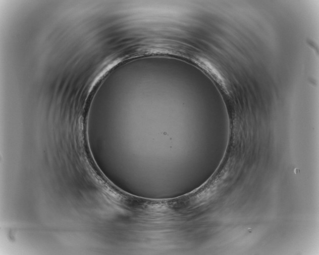 X0000094210798200710261209