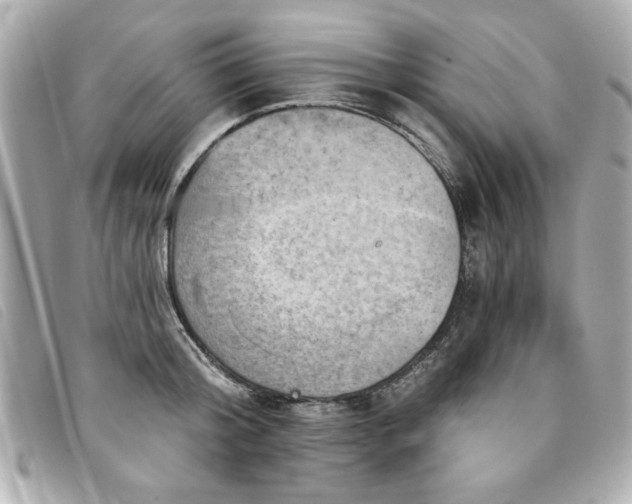 X0000094210804200710261209