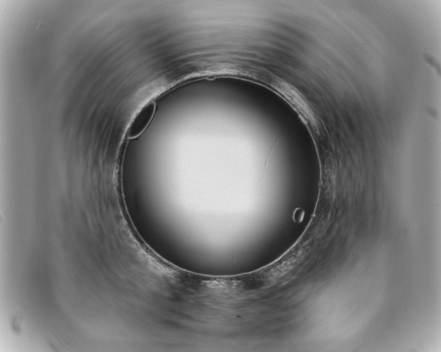 X0000094210805200710261209