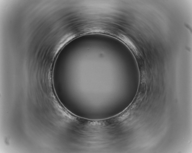 X0000094210806200710261209