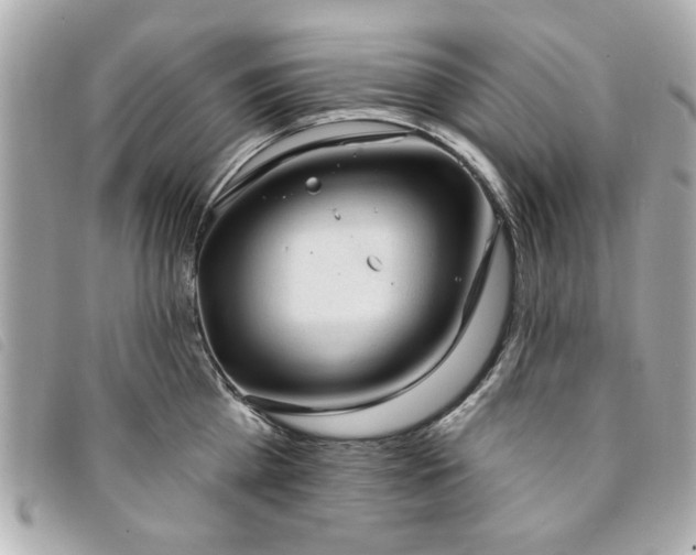 X0000094210809200710261209