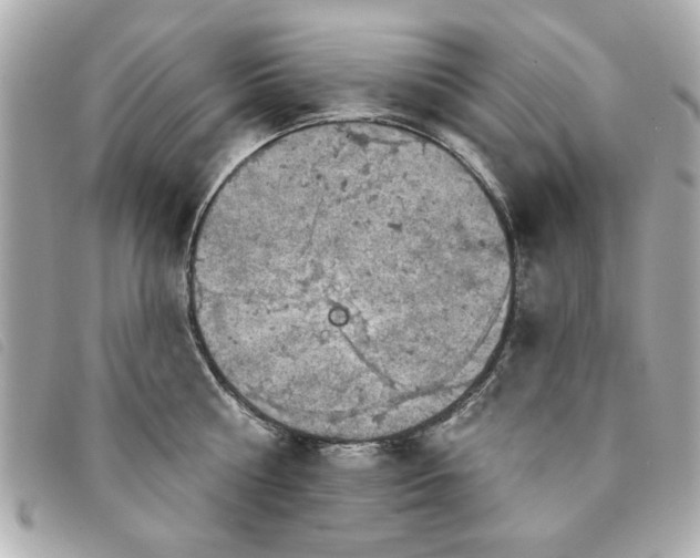 X0000094210810200710261209