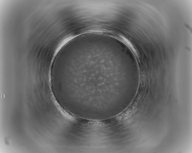 X0000094210811200710261209