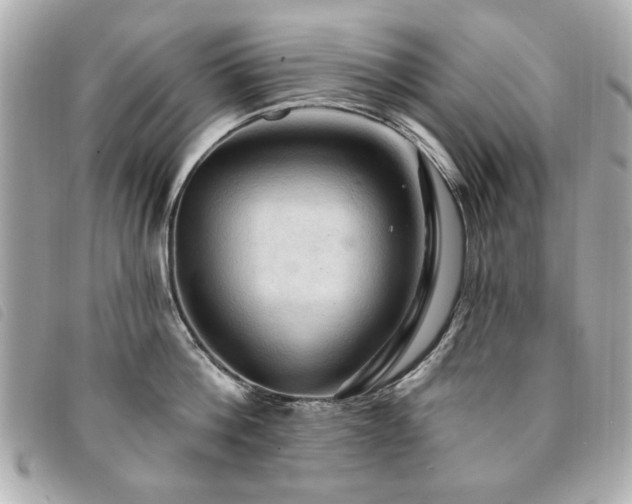 X0000094210812200710261209