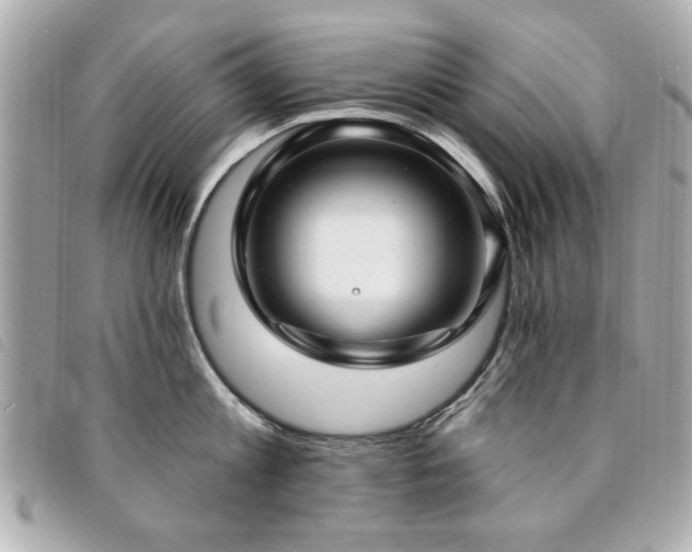 X0000094210813200710261209