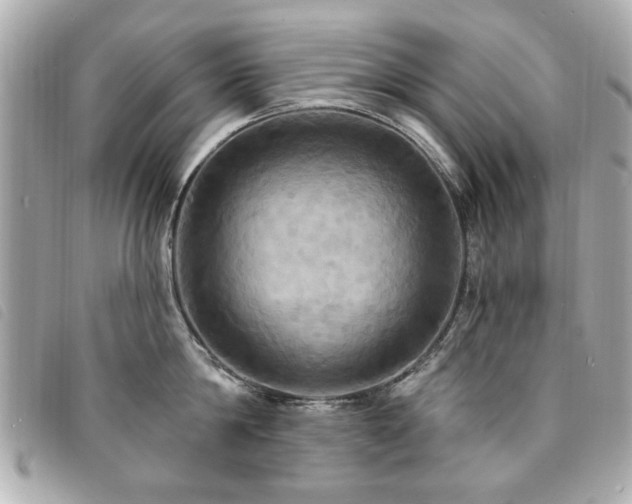 X0000094210814200710261209