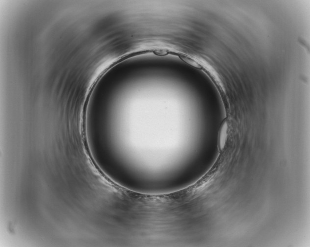 X0000094210815200710261209