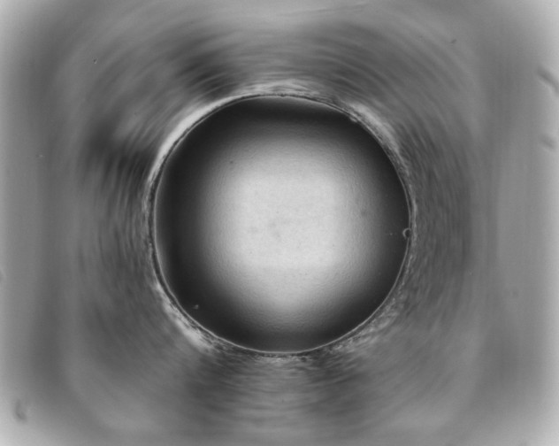 X0000094210816200710261209