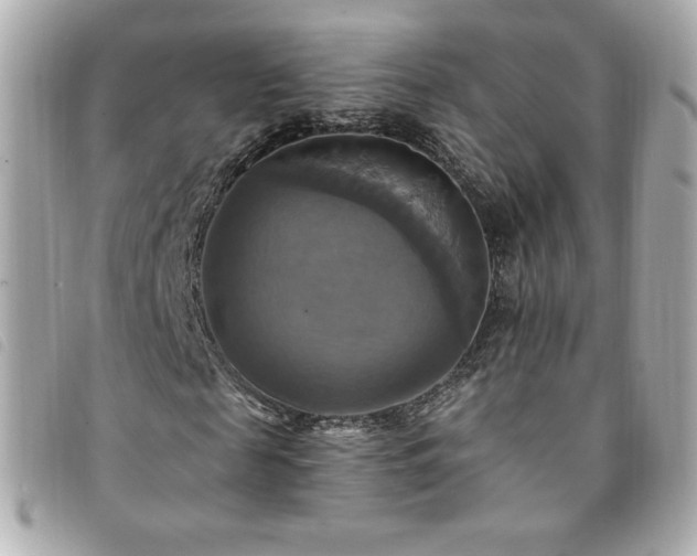 X0000094210817200710261208