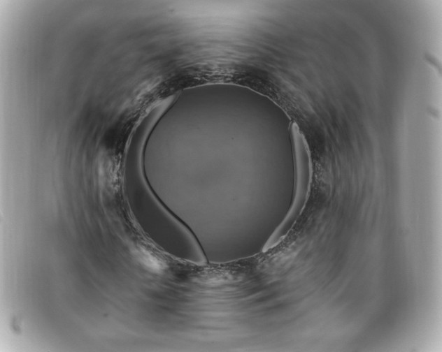 X0000094210818200710261208