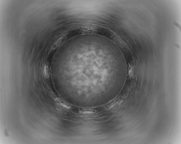 X0000094210819200710261208