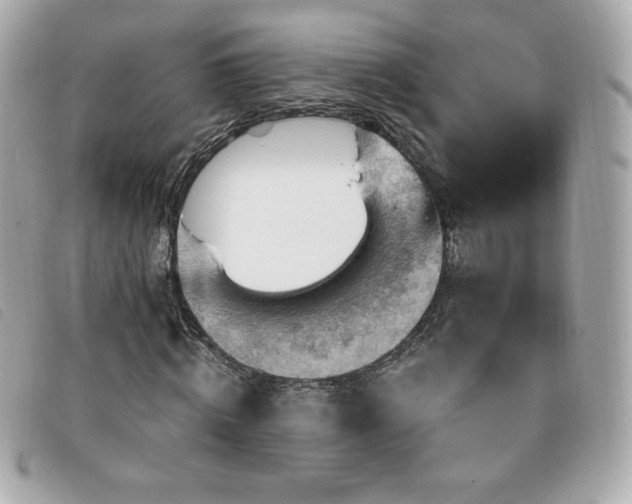 X0000094210820200710261208