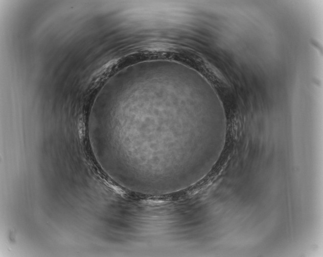 X0000094210821200710261208