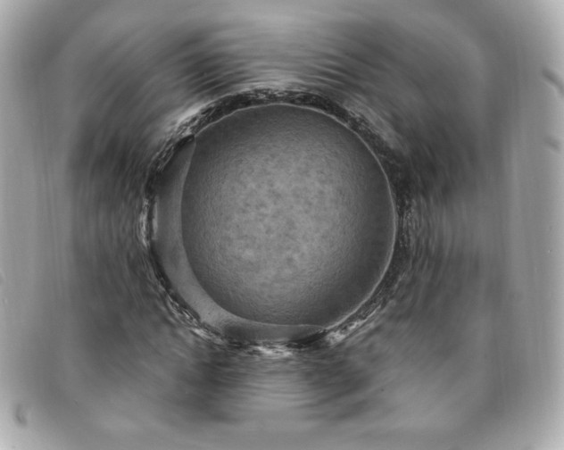 X0000094210822200710261208