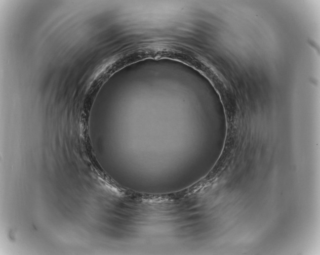 X0000094210823200710261208