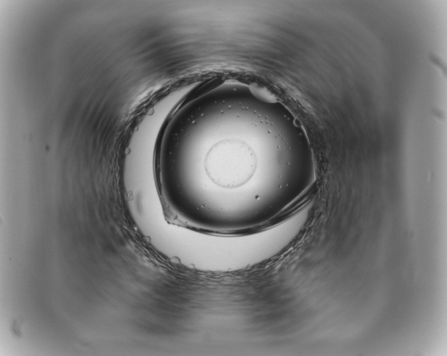 X0000094210824200710261208