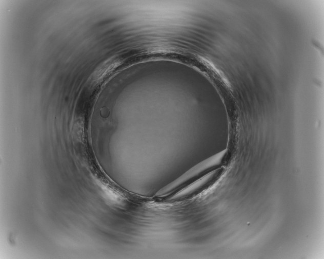 X0000094210825200710261209
