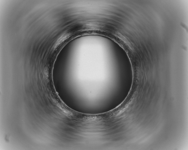 X0000094210826200710261209