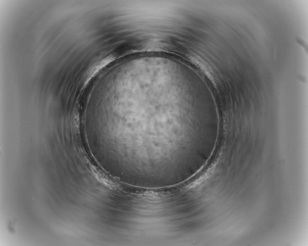 X0000094210827200710261209