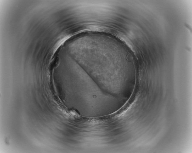 X0000094210829200710261209