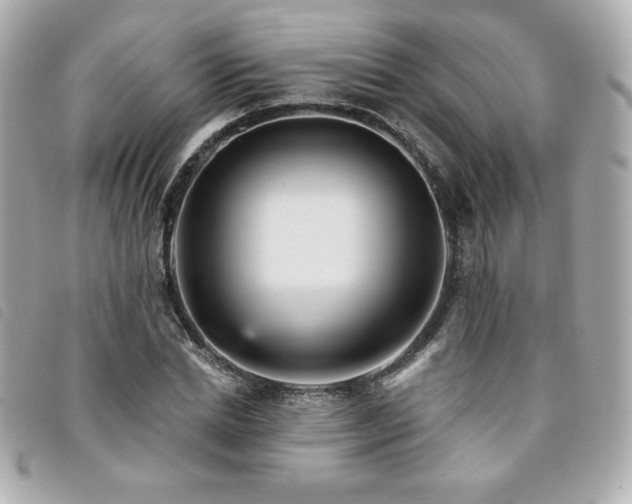 X0000094210830200710261209