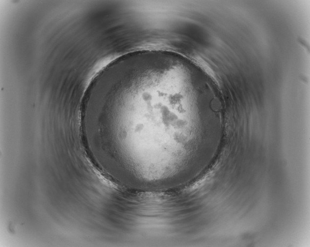 X0000094210831200710261209