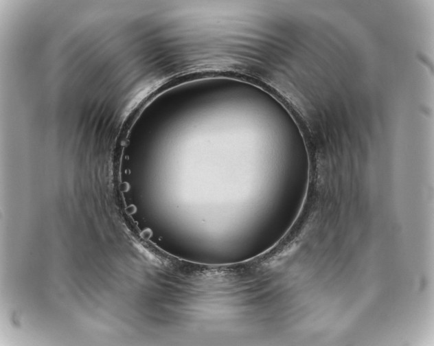 X0000094210834200710261209