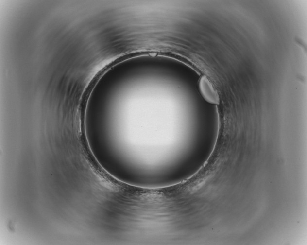 X0000094210838200710261209