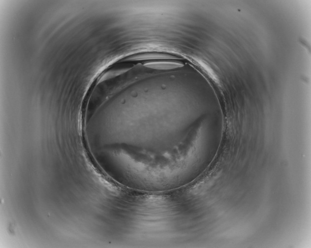 X0000094210839200710261209