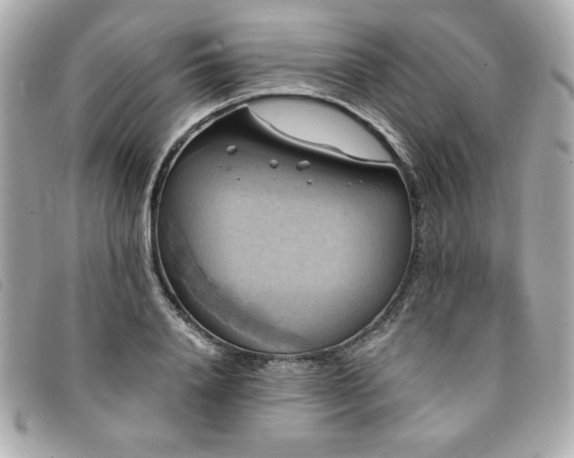 X0000094210840200710261209