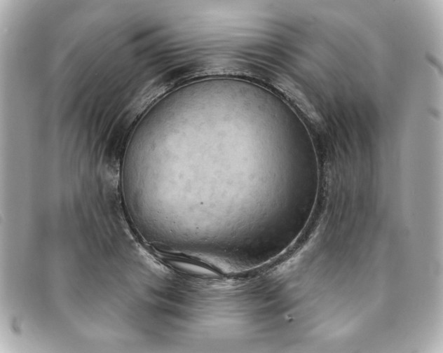 X0000094210841200710261209