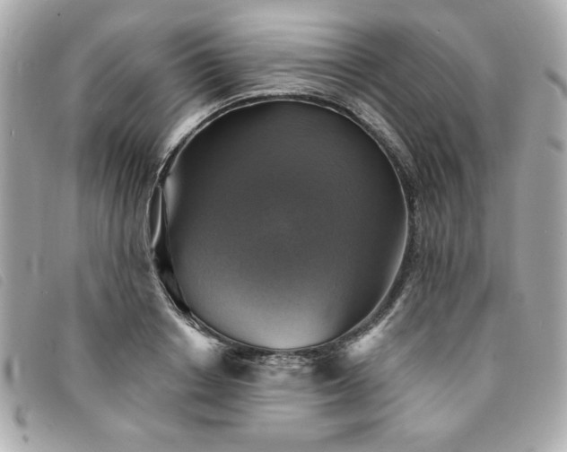 X0000094210842200710261209