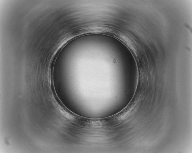 X0000094210843200710261209
