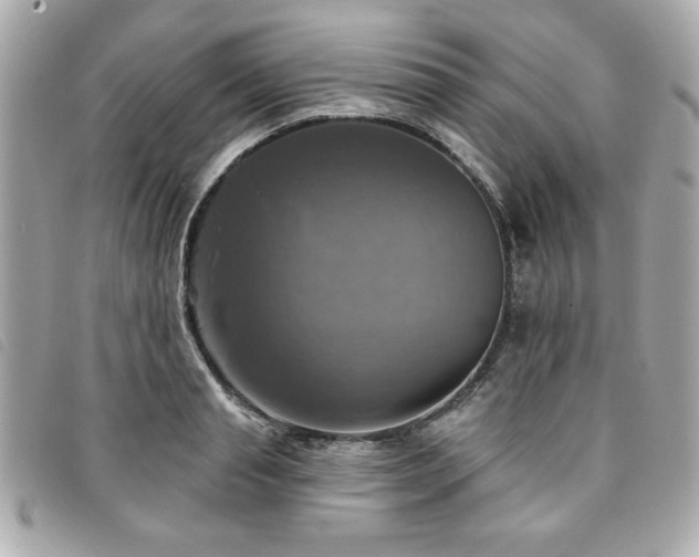 X0000094210845200710261209