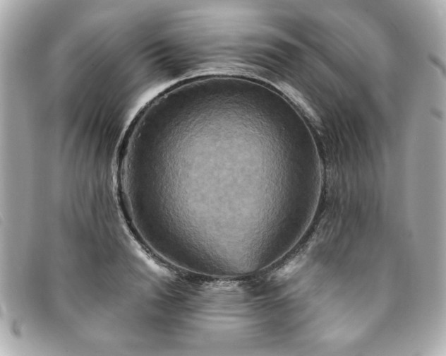X0000094210846200710261209