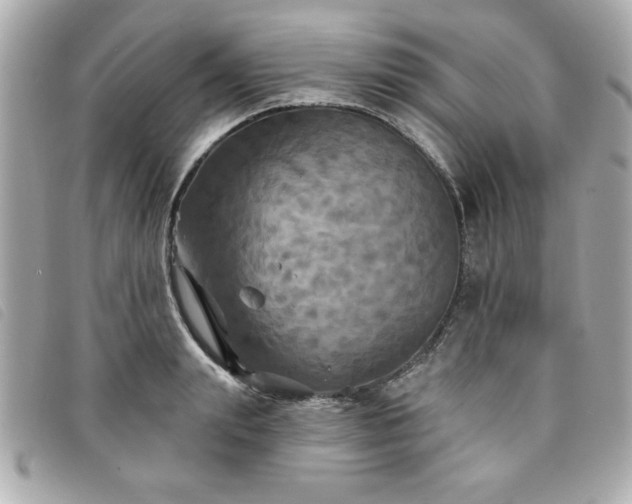 X0000094210847200710261209