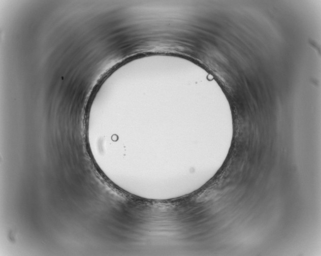 X0000094210848200710261209