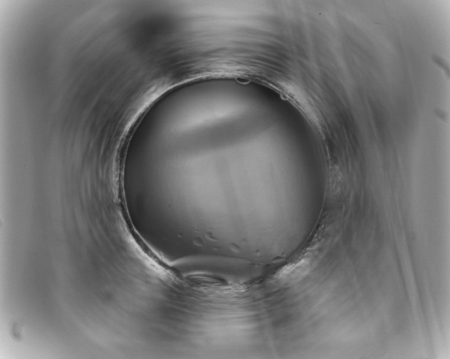 X0000094210851200710261209
