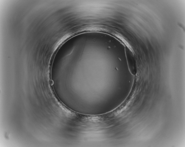 X0000094210853200710261209
