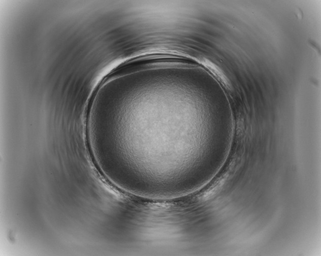 X0000094210854200710261209