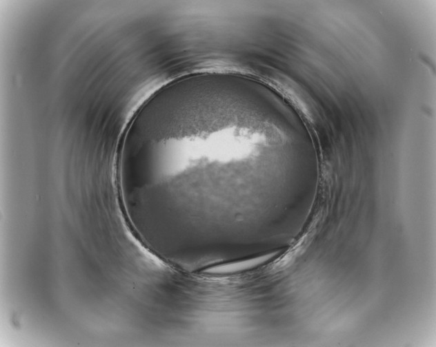 X0000094210855200710261209