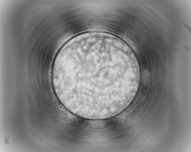 X0000094210856200710261209