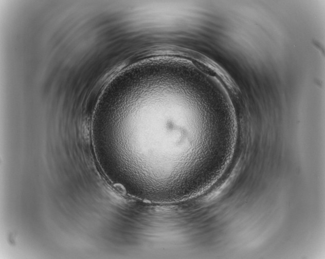 X0000094210857200710261209