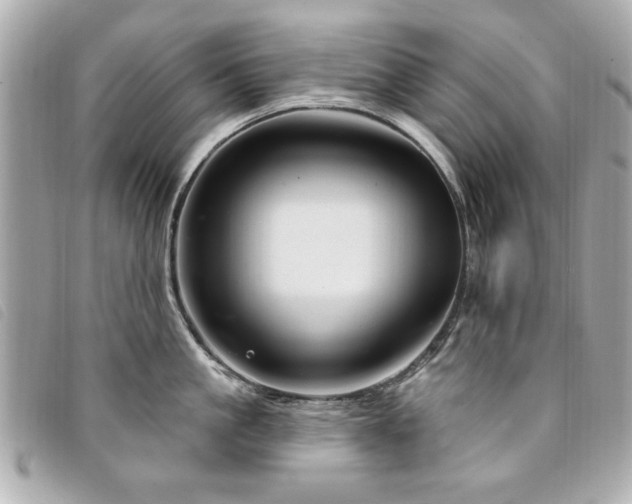 X0000094210861200710261209